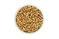 Roasted Sunflower Seeds (Salted, No Shell)